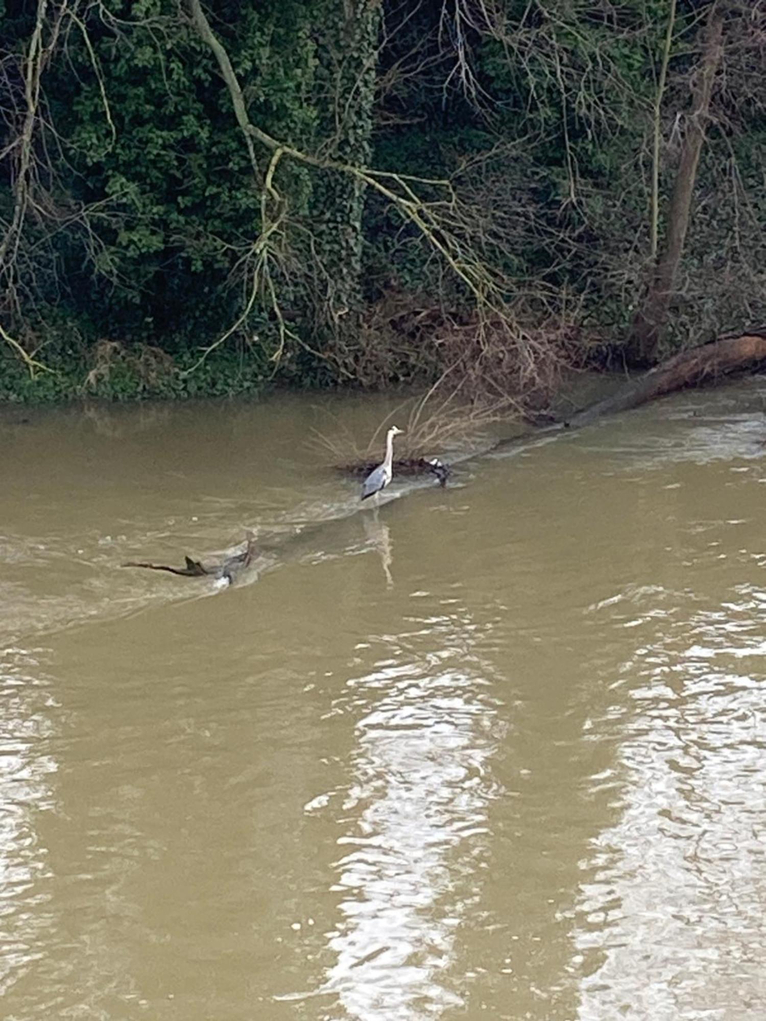 Ferienwohnung Villa Am Fluss Lauf an der Pegnitz Exteriör bild